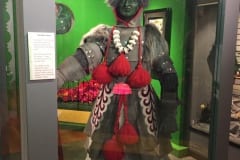 IMG_4630