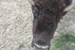 Feed Me