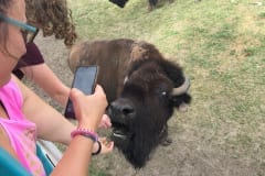 Feeding the Herd Donata