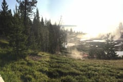 Steam Pools