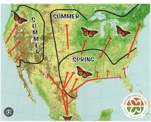 Monarch Butterfly Spring Migration Flyway by MonarchWatch.org
